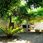 Oasis Of Peace